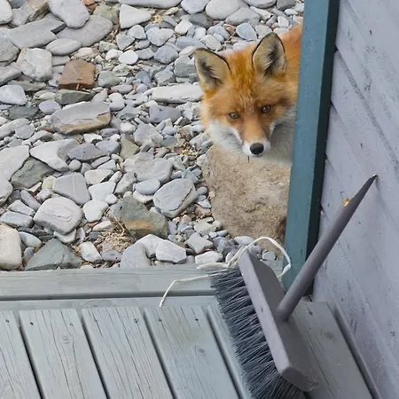 Rivdnji Smorfjord Сasa de vacaciones