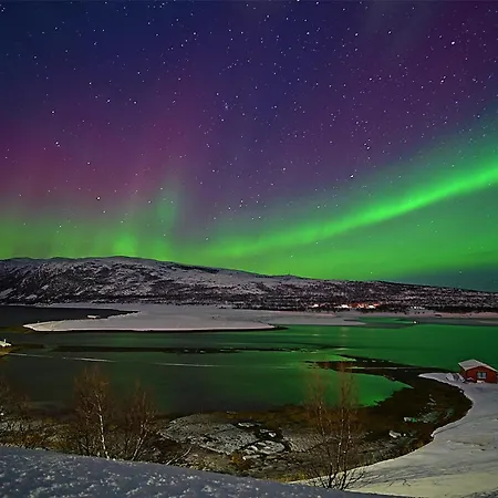 Rivdnji Smorfjord *