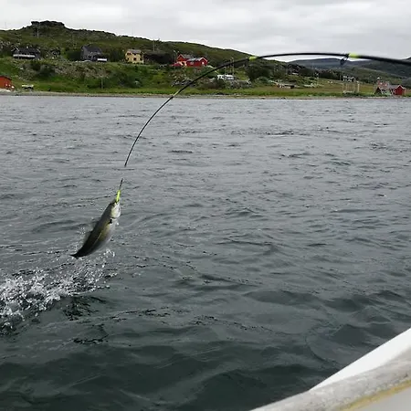 Сasa de vacaciones Rivdnji Smorfjord *