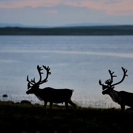 Rivdnji Smorfjord Сasa de vacaciones