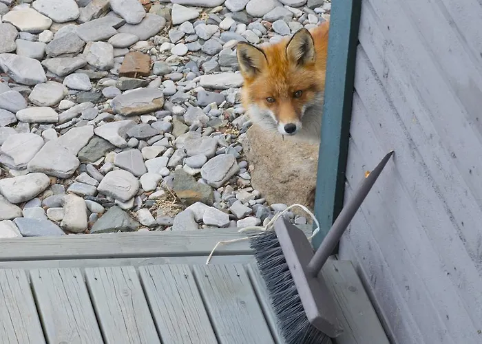 Rivdnji Smorfjord Dom wakacyjny