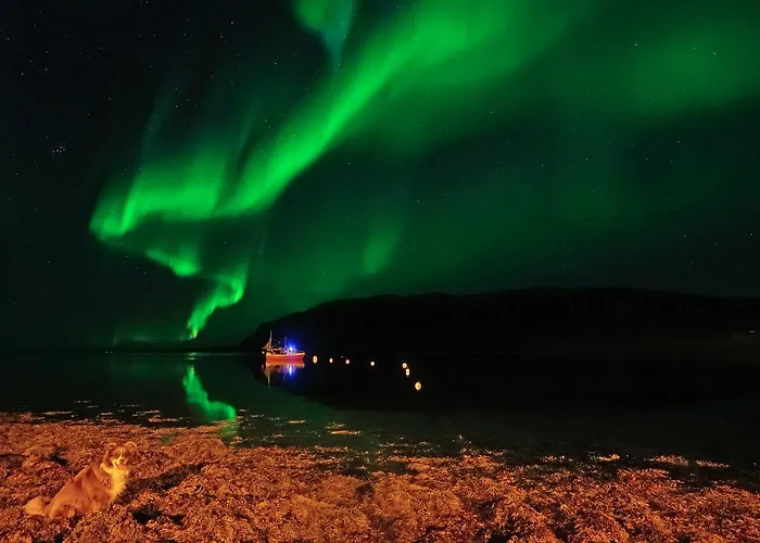 Rivdnji Smorfjord Ferienhaus