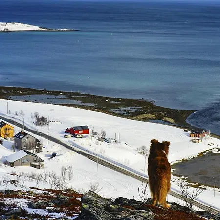 Nyaraló Rivdnji Smorfjord