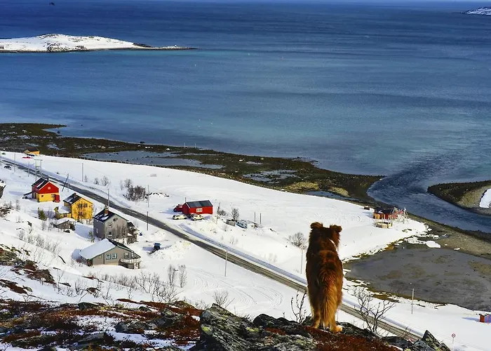 Casa vacanze Rivdnji Smorfjord
