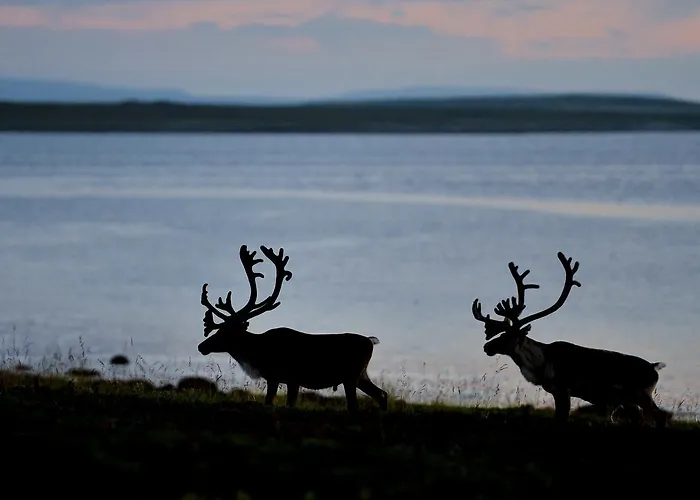 Rivdnji Smorfjord Casa vacanze
